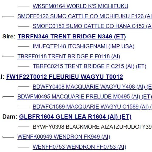 FW1F22T0012_59_details
